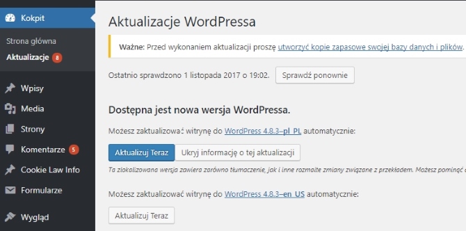 Aktualizacja WordPress z poziomu panelu administracyjnego